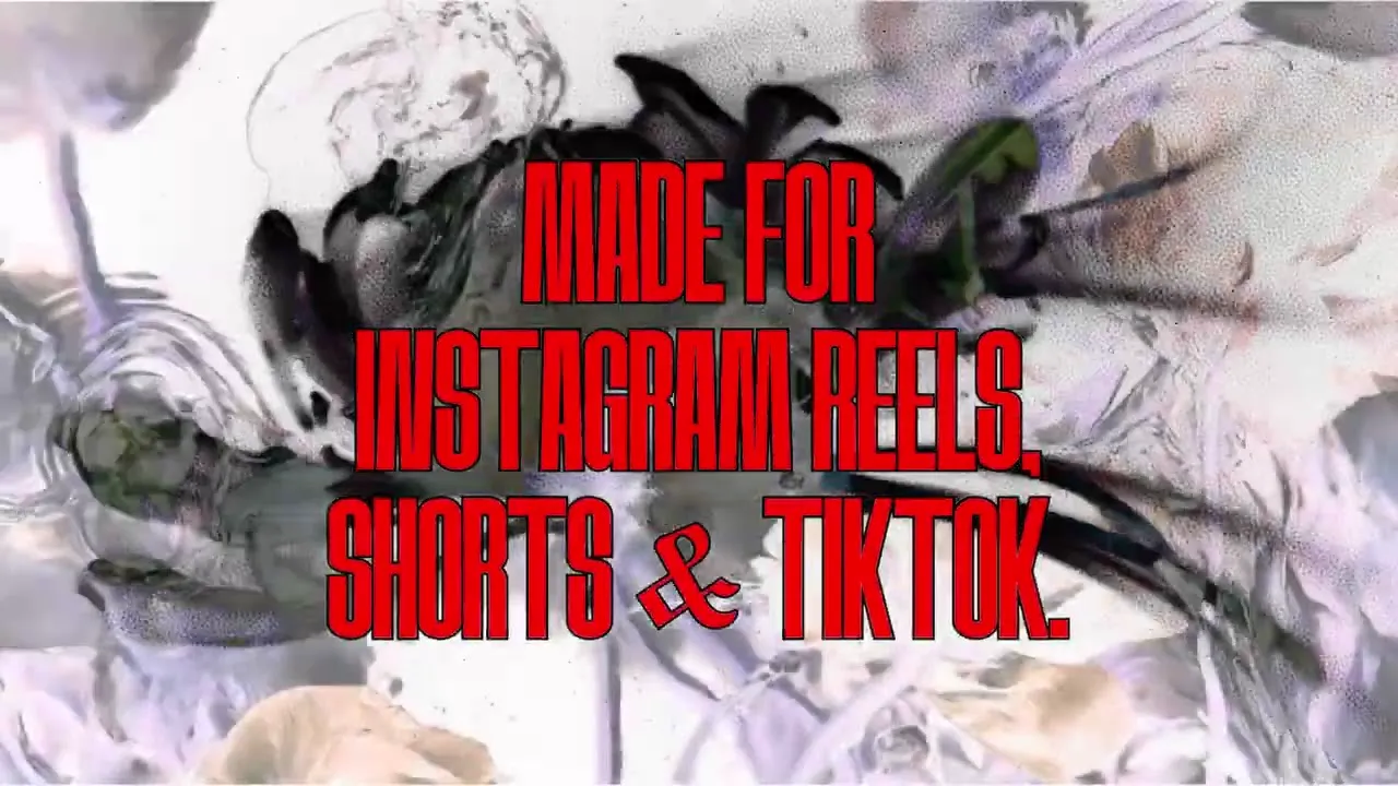 Full visual for Single, EP, and Album commission